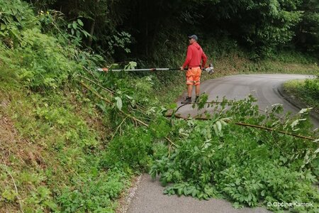 Motnik - odstranitev vegetacije (2)